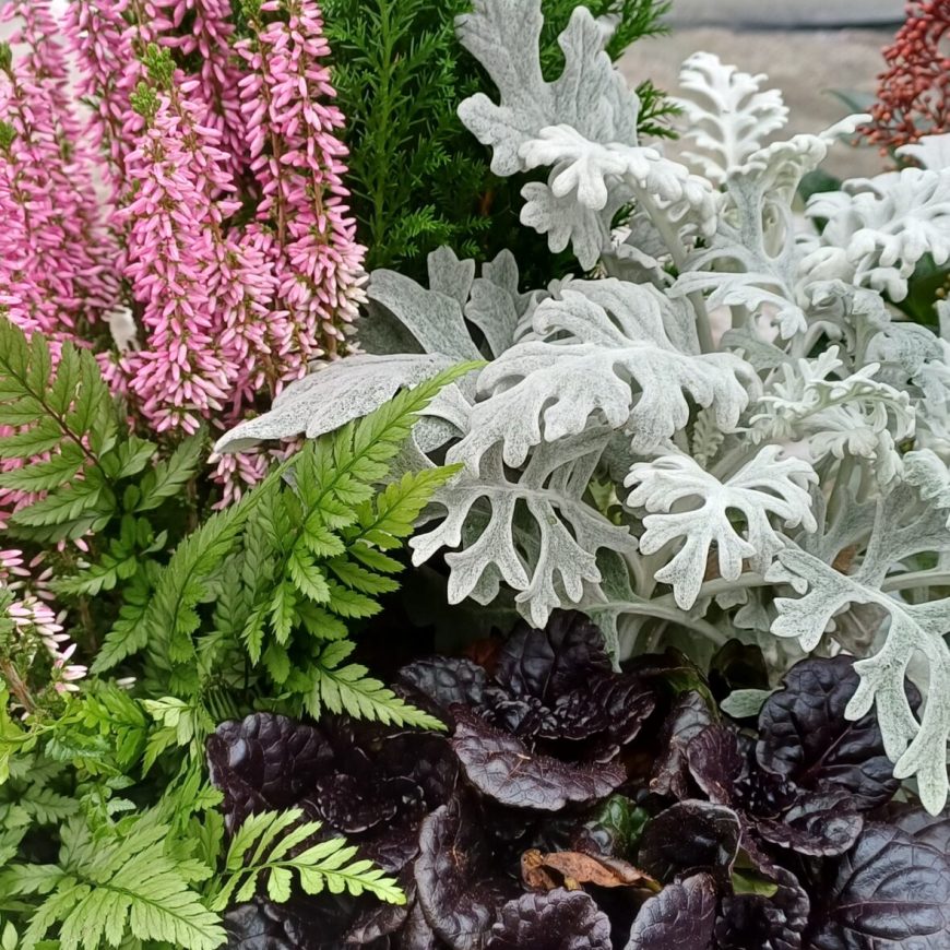 Fleurs & plantes de saison 7 1000032939